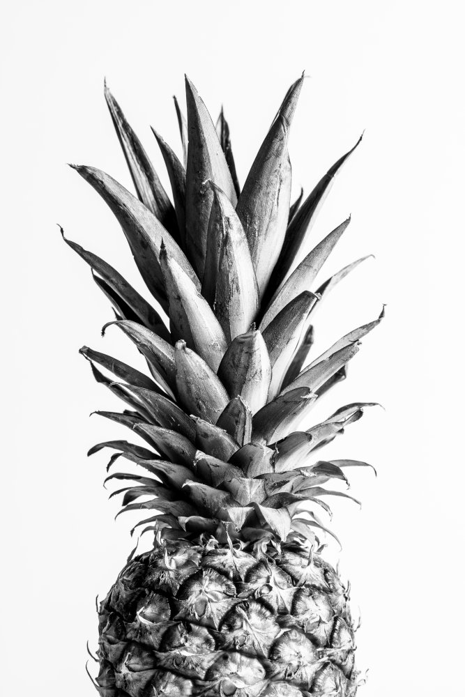 Pineapple Black &amp; White 01 à Pictufy Studio III