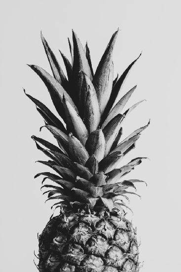 Pineapple Black &amp; White 02