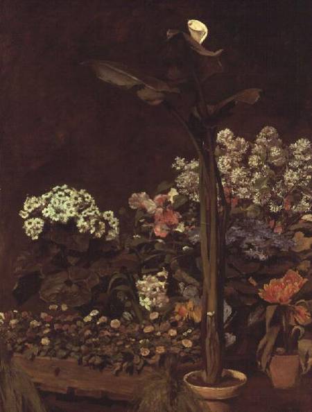 Arum and Hothouse Plants à Pierre-Auguste Renoir