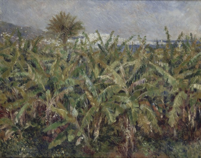 Field of Banana Trees (Champ de bananiers) à Pierre-Auguste Renoir