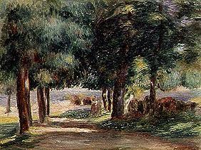 Paysage, chemin sous des arbres