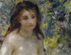Renoir/ Torse de femme au soleil (Detai)
