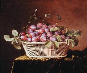 Basket of Plums