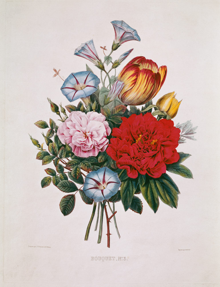 Bouquet N°3 avec la tulipe, Oeillet, Grues et roses de Pentecôte à Pierre Joseph Redouté