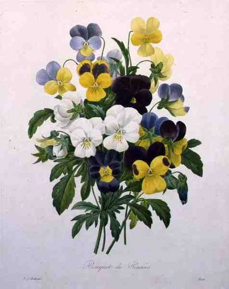 Bouquet of Pansies, engraved by Victor, from 'Choix des Plus Belles Fleurs' à Pierre Joseph Redouté