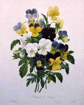 Bouquet of Pansies, engraved by Victor, from 'Choix des Plus Belles Fleurs'