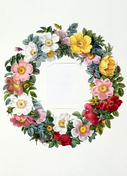 Wreath of Roses, Frontispiece for 'Les Roses' à Pierre Joseph Redouté