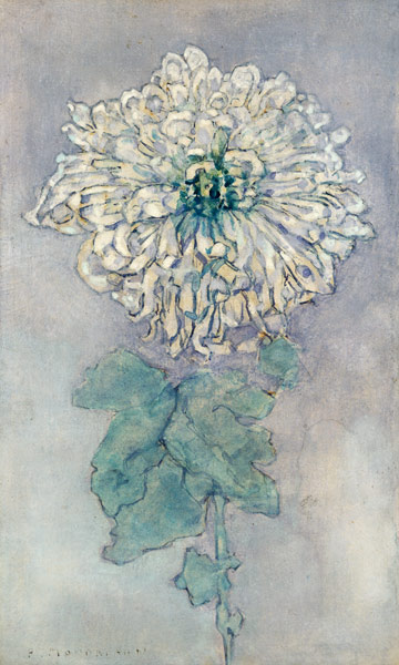 Chrysanthemum à Piet Mondrian