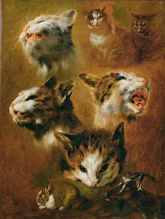 Tierstudien: Katzen, Kaninchen und Ziege à Pieter Boel