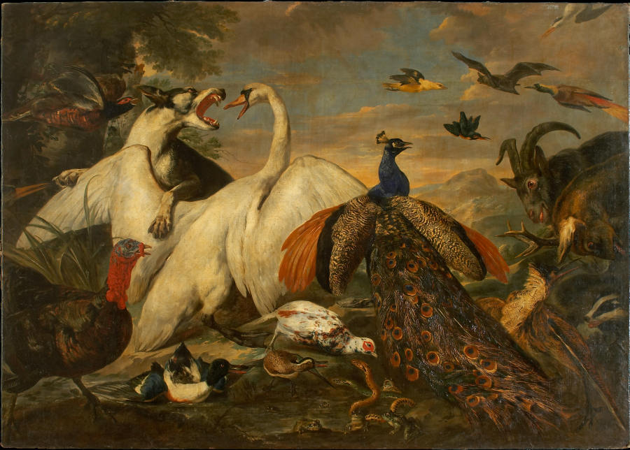 Fighting Animals as Allegory of the Combat between Virtue and Vice à Pieter Boel
