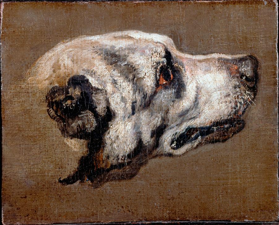 Kopf eines Hundes à Pieter Boel