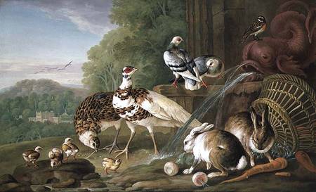 Birds and Rabbits à Pieter Casteels