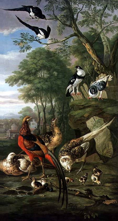 Cock pheasant, hen pheasant and chicks and other birds in a classical landscape à Pieter Casteels