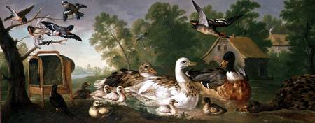 Ducks and Birds in a landscape à Pieter Casteels