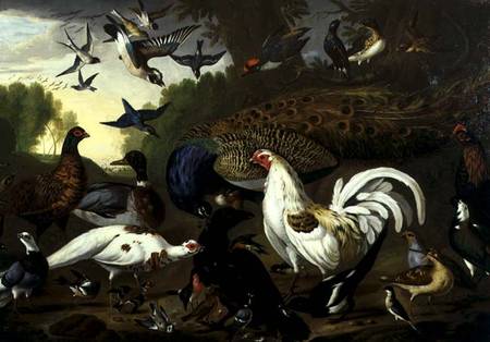 The Fable of the Raven with a Peacock, Cockerel, Woodpecker, Jay, Woodcock, and Magpie à Pieter Casteels