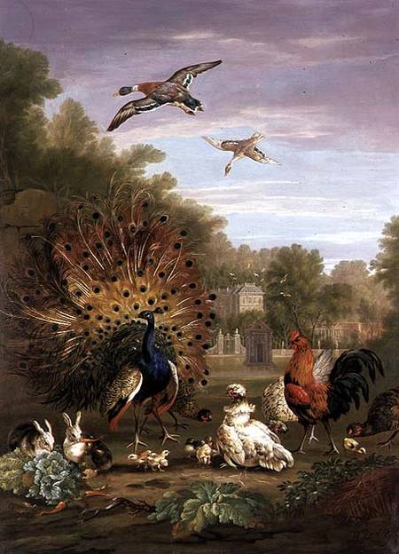 Peacock and Rabbits in a Landscape à Pieter Casteels