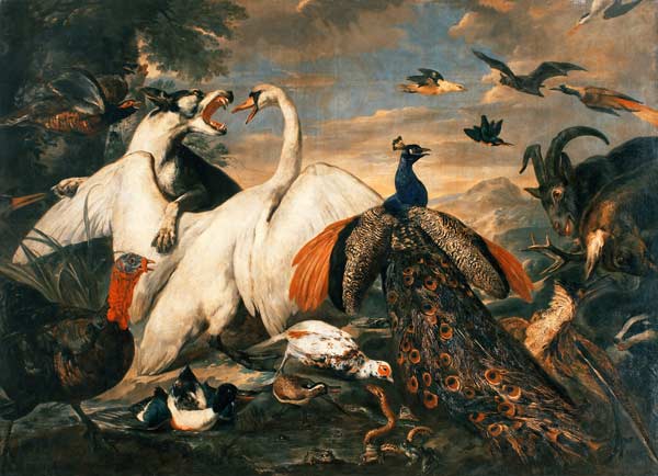 Kampf der Tiere als Tugend-Laster-Allegorie. à Pieter or Peter Boel