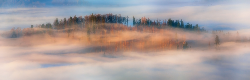 in the morning mists à Piotr Krol Bax