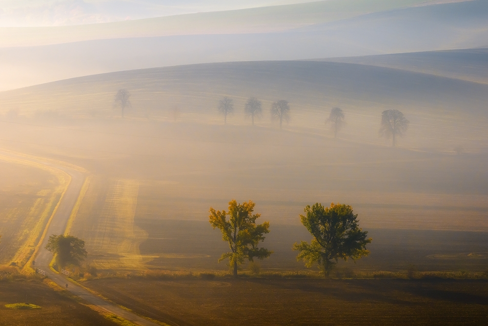 in the fog à Piotr Krol Bax