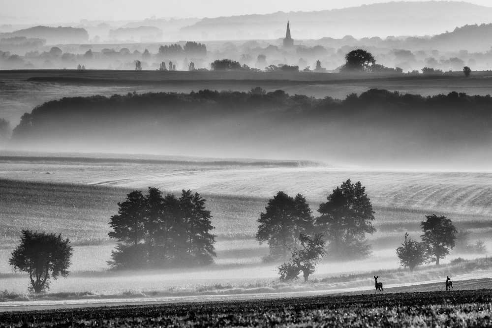 in the morning à Piotr Krol Bax