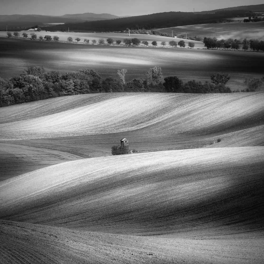 Moravian fields à Piotr Krol Bax