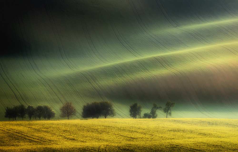 spring fields à Piotr Krol Bax