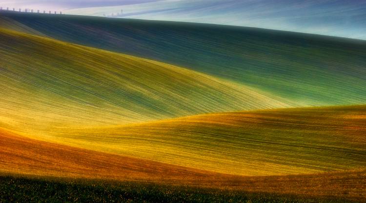 Spring fields à Piotr Krol Bax