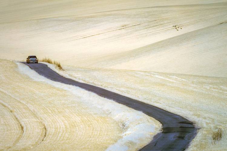 white à Piotr Krol Bax