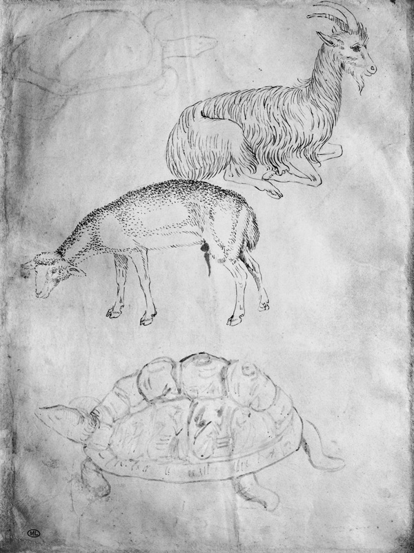 Two tortoises, goat and sheep, from the The Vallardi Album à Pisanello