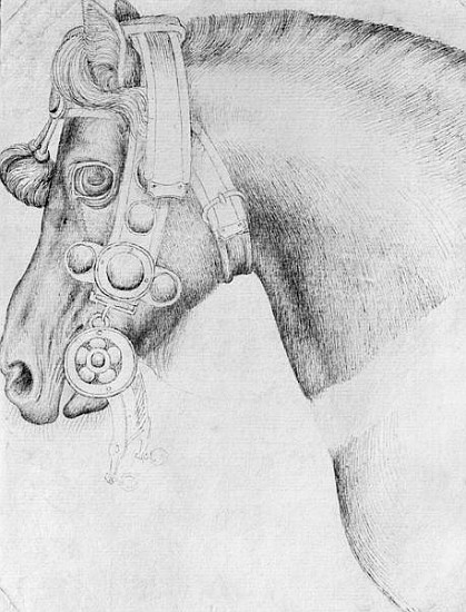 Head of a horse, from the The Vallardi Album à Pisanello