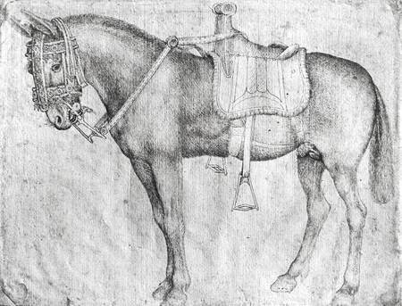 Mule à Pisanello