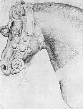 Head of a horse, from the The Vallardi Album