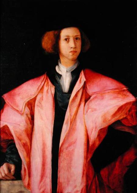Portrait of a Young Man à Pontormo, Jacopo Carucci da