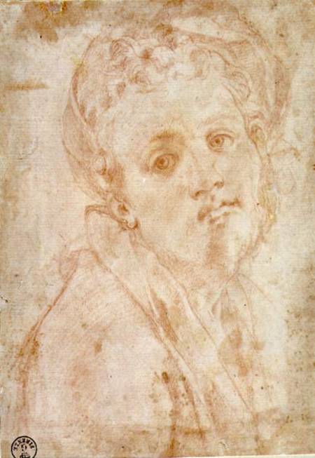 Self Portrait à Pontormo, Jacopo Carucci da