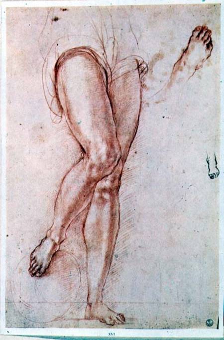 Study of a pair of legs and two feet for a figure of St. Michael (red chalk with pen & ink) à Pontormo, Jacopo Carucci da