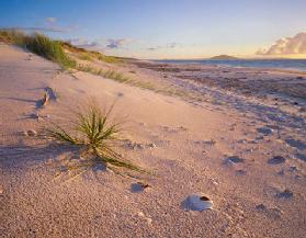 Northland Karikari Bay