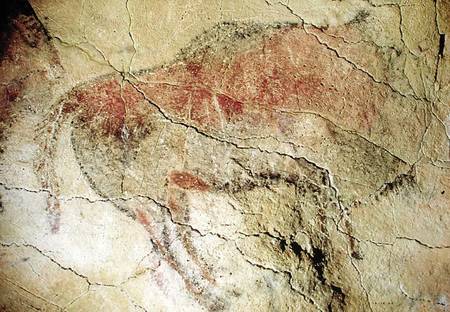 Bison from the Caves at Altamira à Préhistorique