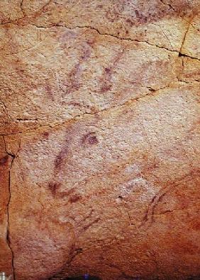 Head of a small stag, from the Caves at Altamira