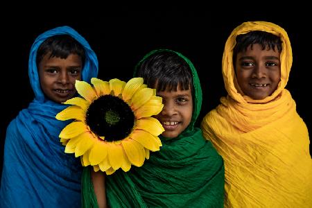 Child portrait with sunflower