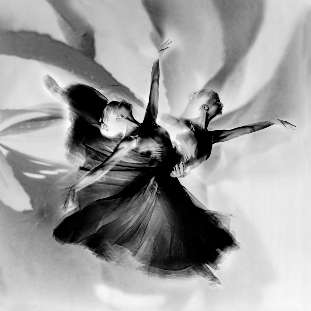 Dance in black and white à Rachel Pansky