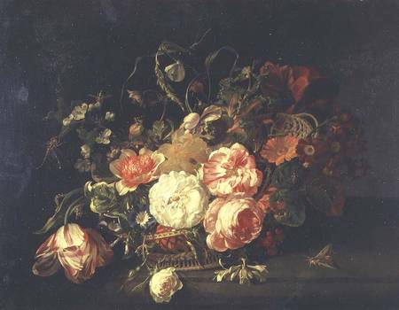 Flowers and Insects à Rachel Ruysch