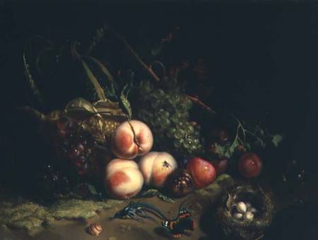 Still life with fruit (panel) à Rachel Ruysch