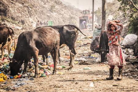 Cittagong garbage field