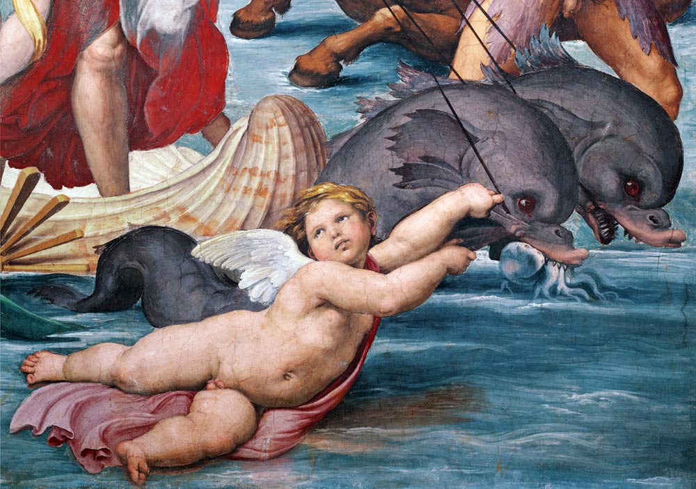 Galatea, detail of putto and dolphins à Raffaello Sanzio