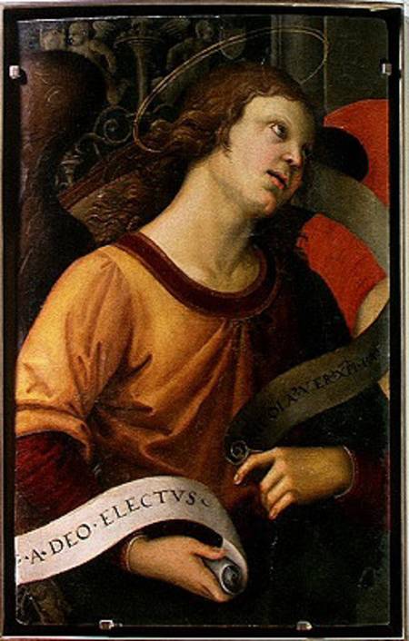 Angel, from the polyptych of St. Nicolas of Tolentino à Raffaello Sanzio