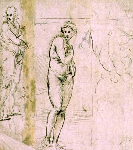 Study of Venus (pen & ink) à Raffaello Sanzio