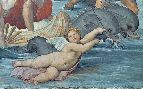 The Triumph of Galatea, 1512-14 (detail of 56473) à Raffaello Sanzio