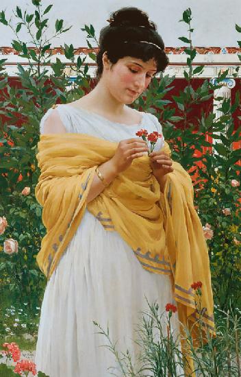 romaine 1900
