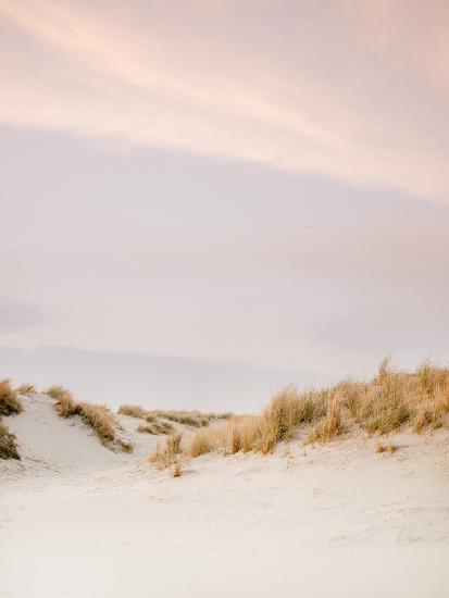 Ameland Dunes 3