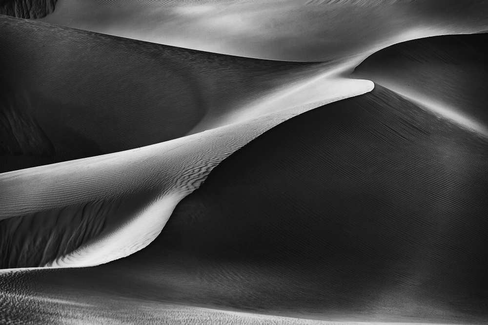 Curvatures à Rami Al Adwan